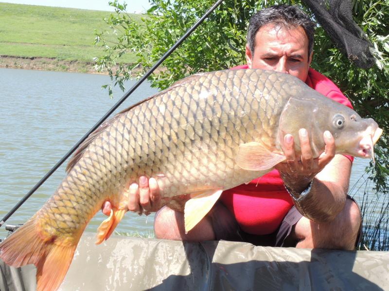 TROPHY CARP OF PRINTERS - pescuit-crap-snz-planet-sulimanu-captura.jpg